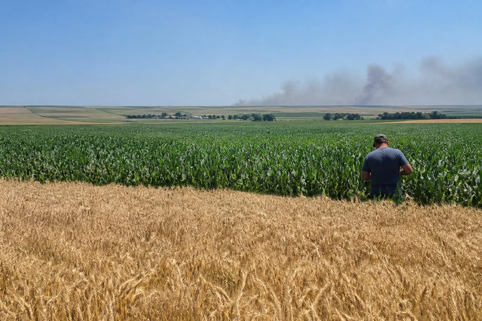 Kansas Market Update: Navigating Harvest Risks and Evolving Production Forecasts - AgroPost
