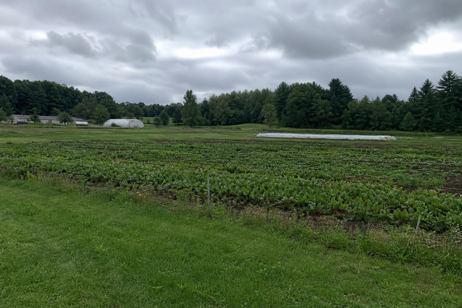 New Hampshire Agriculture: Adapting to Climate and Policy Changes - AgroPost