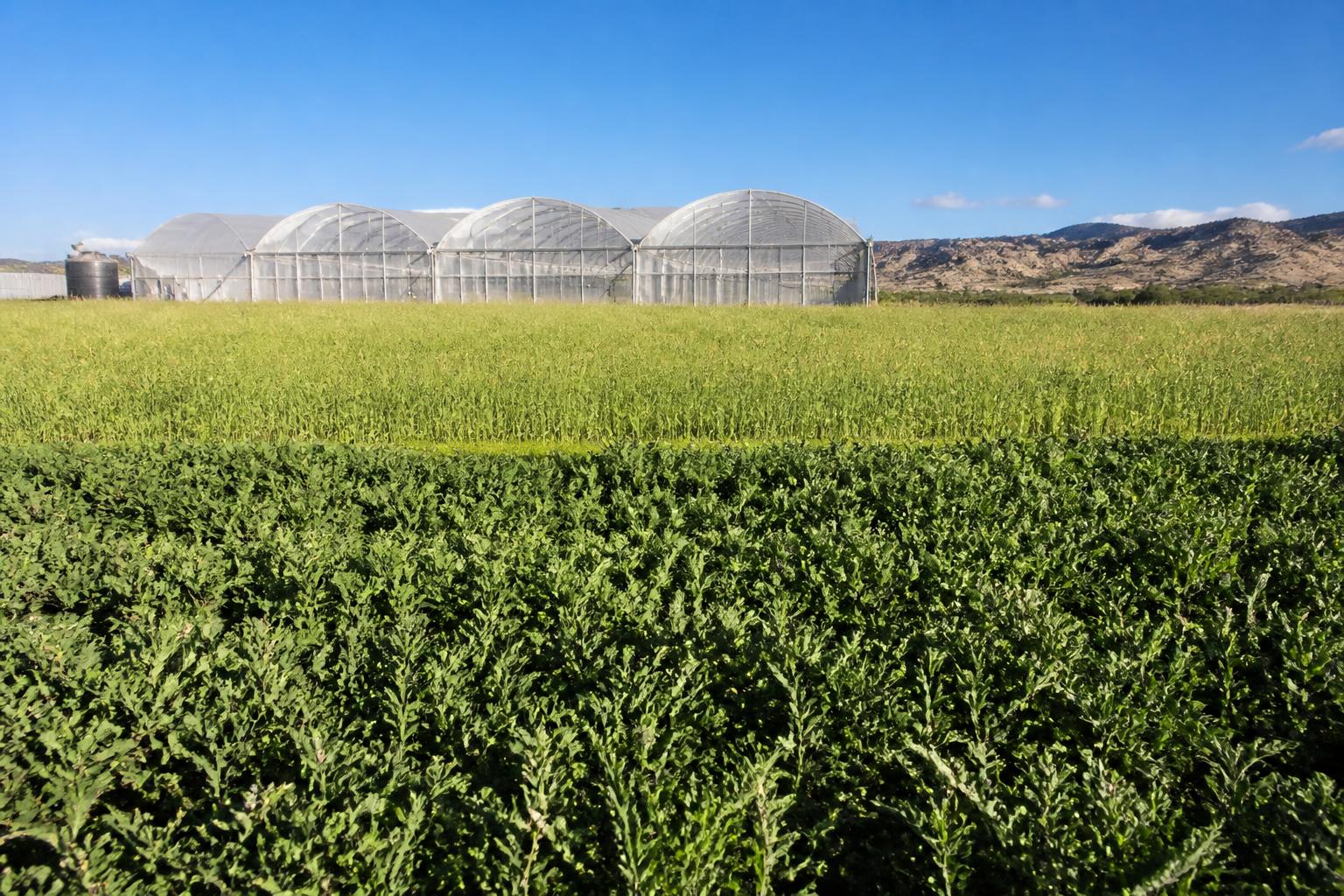 Navigating Colorado Logistics: Managing Supply Chain Shifts and Resource Constraints - AgroPost