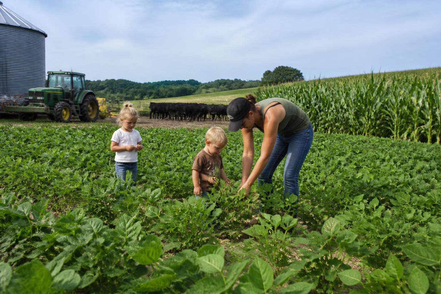 Missouri Growers Weigh Input Efficiency and Field Management in Mid-Summer - AgroPost