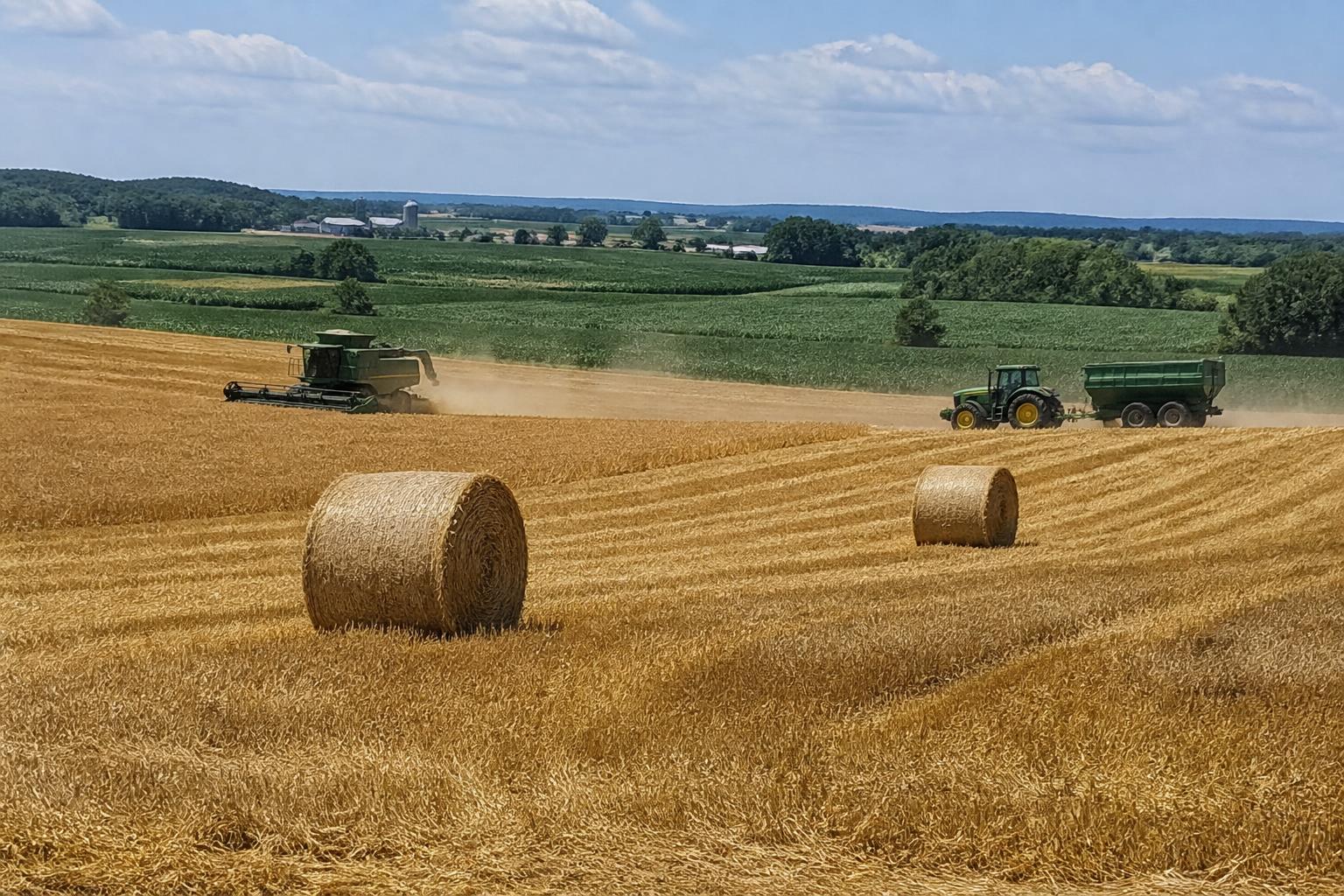 Montana Logistics and Market Headwinds: A Mid-Summer Outlook - AgroPost