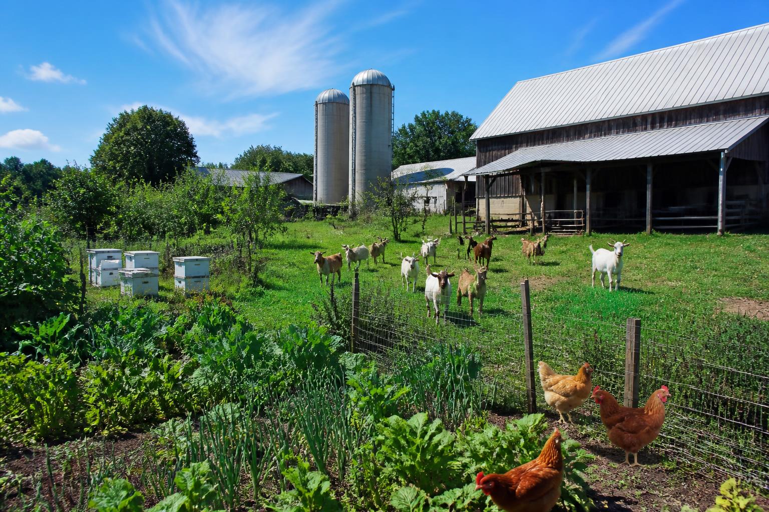 Vermont Farmers Navigate Evolving Input Standards and Resilient Crop Management - AgroPost