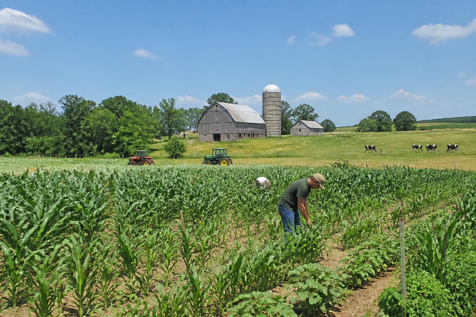 Global Fertilizer Supply Shocks: What West Virginia Producers Should Monitor - AgroPost