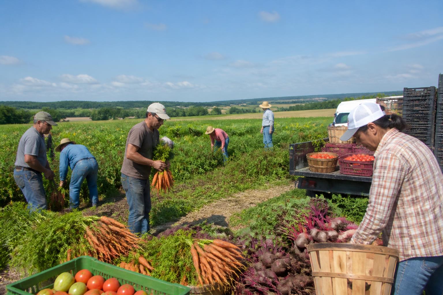 New Mexico Fertilizer Market Braces for Shifting Costs and Global Supply Pressures - AgroPost