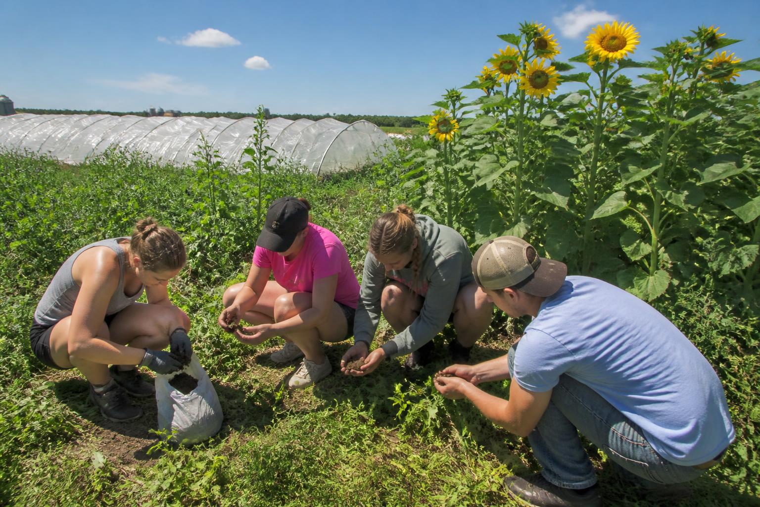 Summer Crop Protection and Input Trends for South Dakota Growers - AgroPost