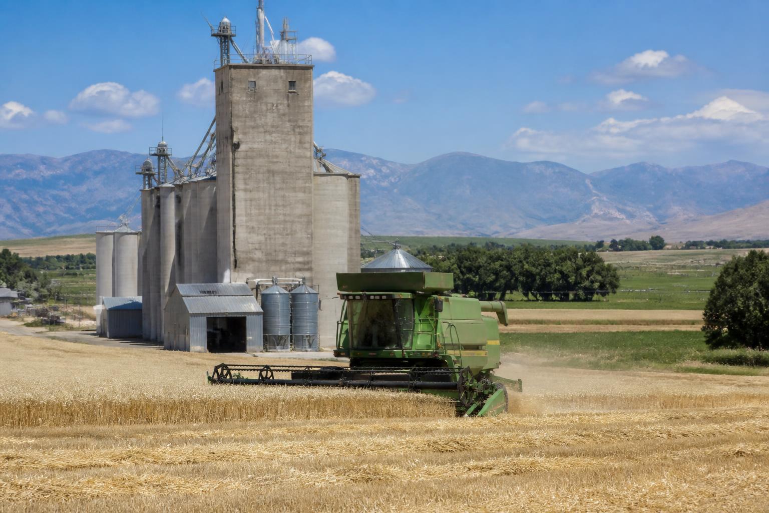 Navigating Input Costs and Infrastructure Realities in Montana Agriculture - AgroPost