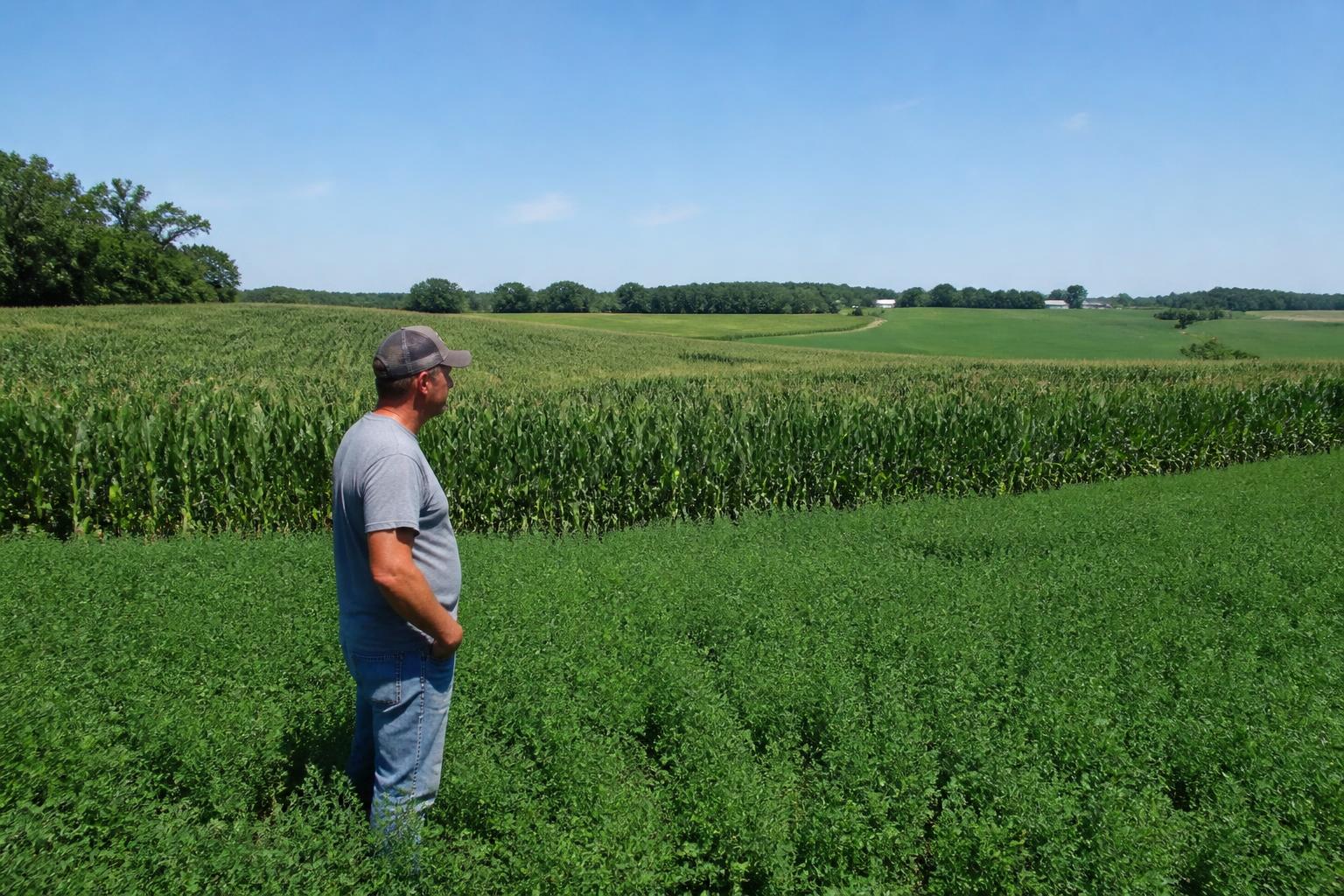 Connecticut Grain Markets: Mid-July Price Volatility and Local Logistics - AgroPost