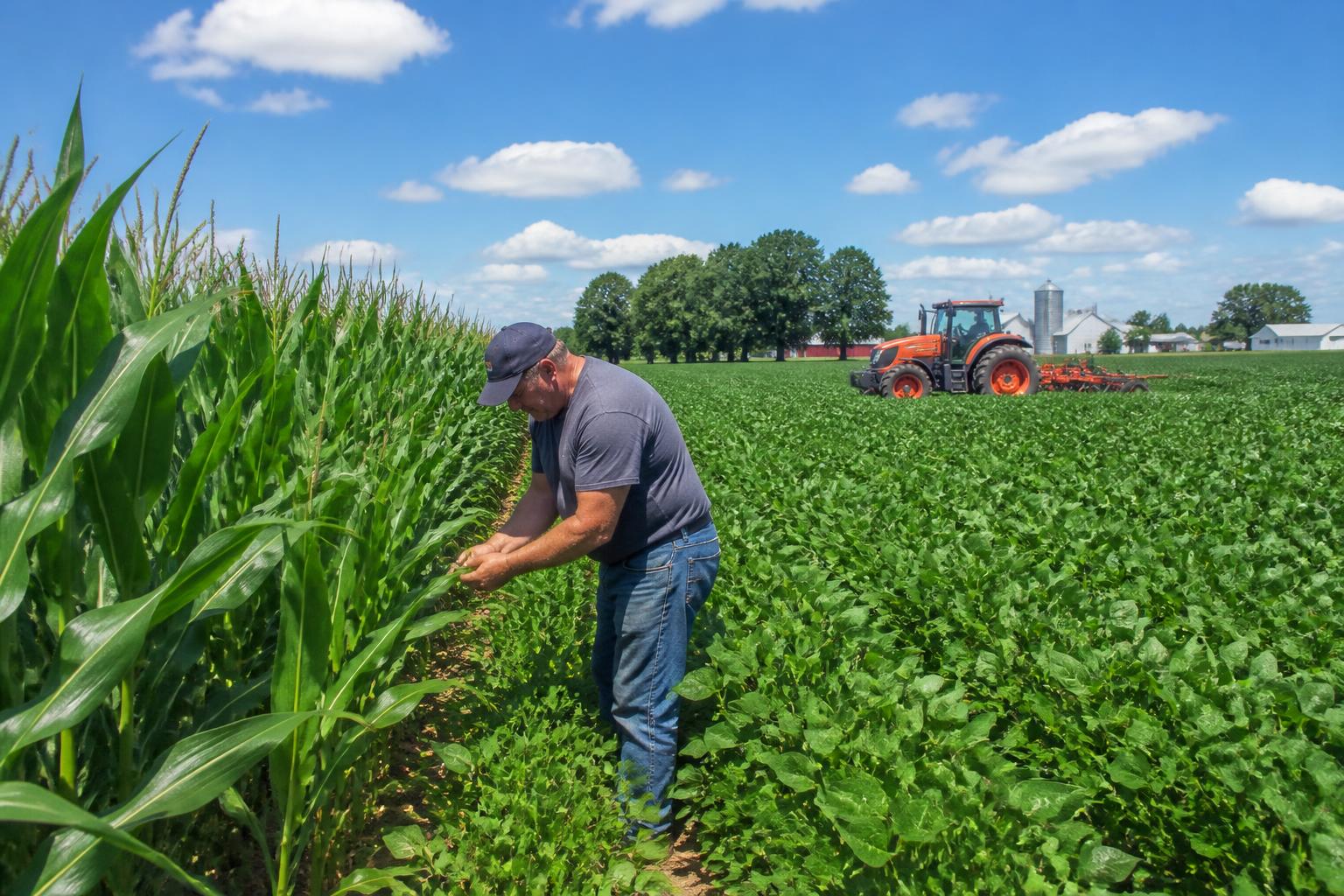 Ohio Fertilizer Market Update: Monitoring Duty Shifts and Input Costs - AgroPost