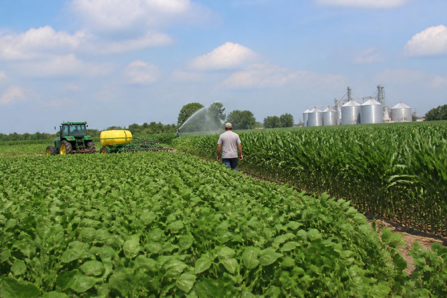 Indiana Grain Logistics: Major Infrastructure Upgrades Strengthen Port Capacity - AgroPost