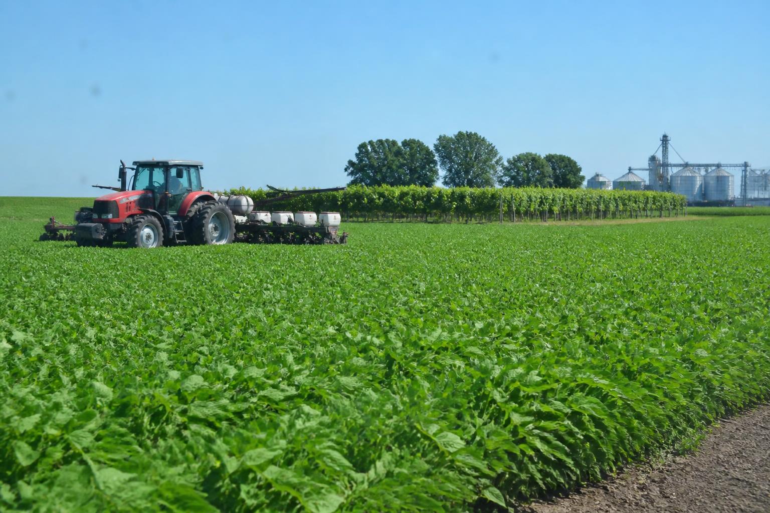 North Dakota Crop Protection: Navigating Summer Pressure and Input Strategy - AgroPost