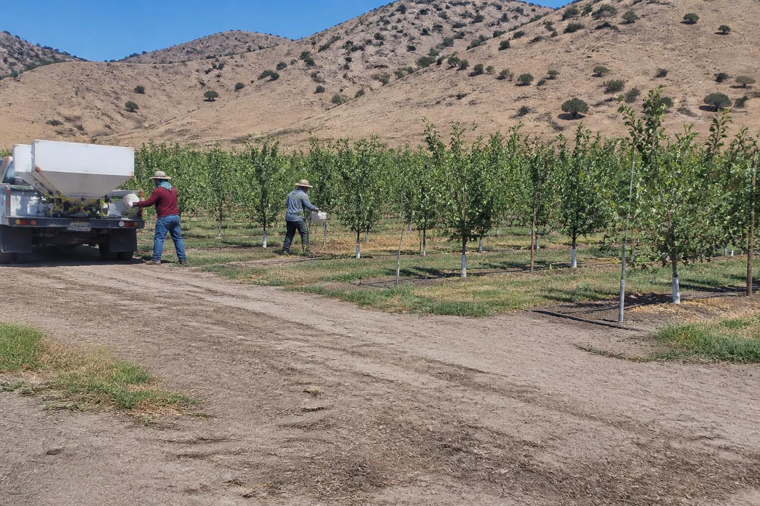 California Ag Update: Early Harvests, Input Pressures, and Evolving Regulatory Hurdles - AgroPost