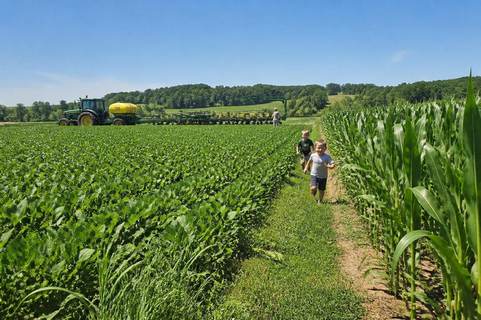 Missouri Ag Outlook: Managing Fixed Costs and Field Pressures Mid-Summer