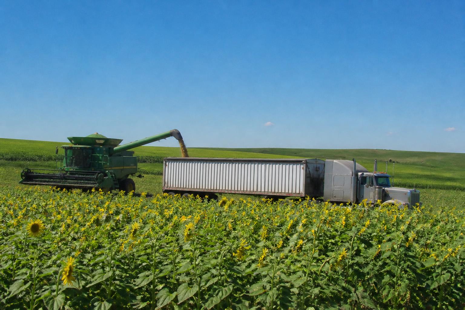 North Dakota Crop Protection: Vigilance Against Emerging Weed Threats - AgroPost