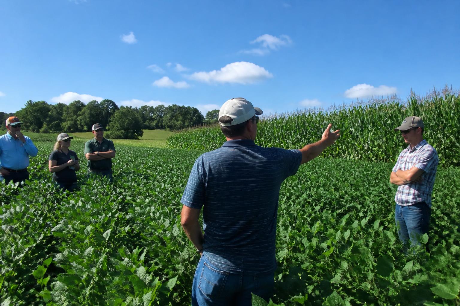 Kentucky Crop Outlook: Navigating Seasonal Pressures and Rising Input Costs