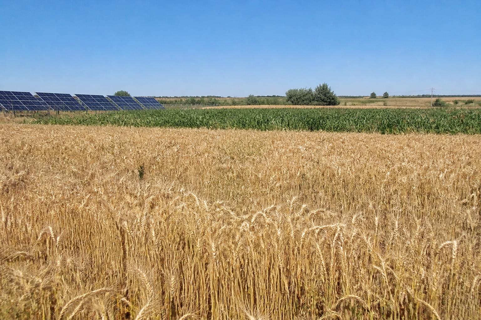 Colorado Crop Outlook: Assessing Impact of Early Season Volatility - AgroPost