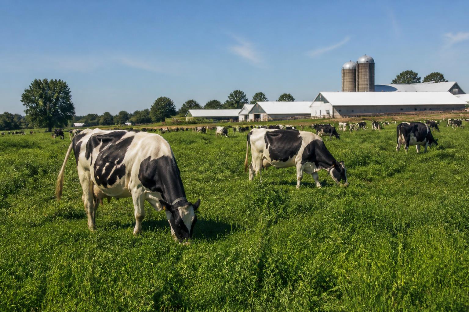 Kansas Rail Logistics Under Pressure as Summer Harvest Gains Momentum - AgroPost