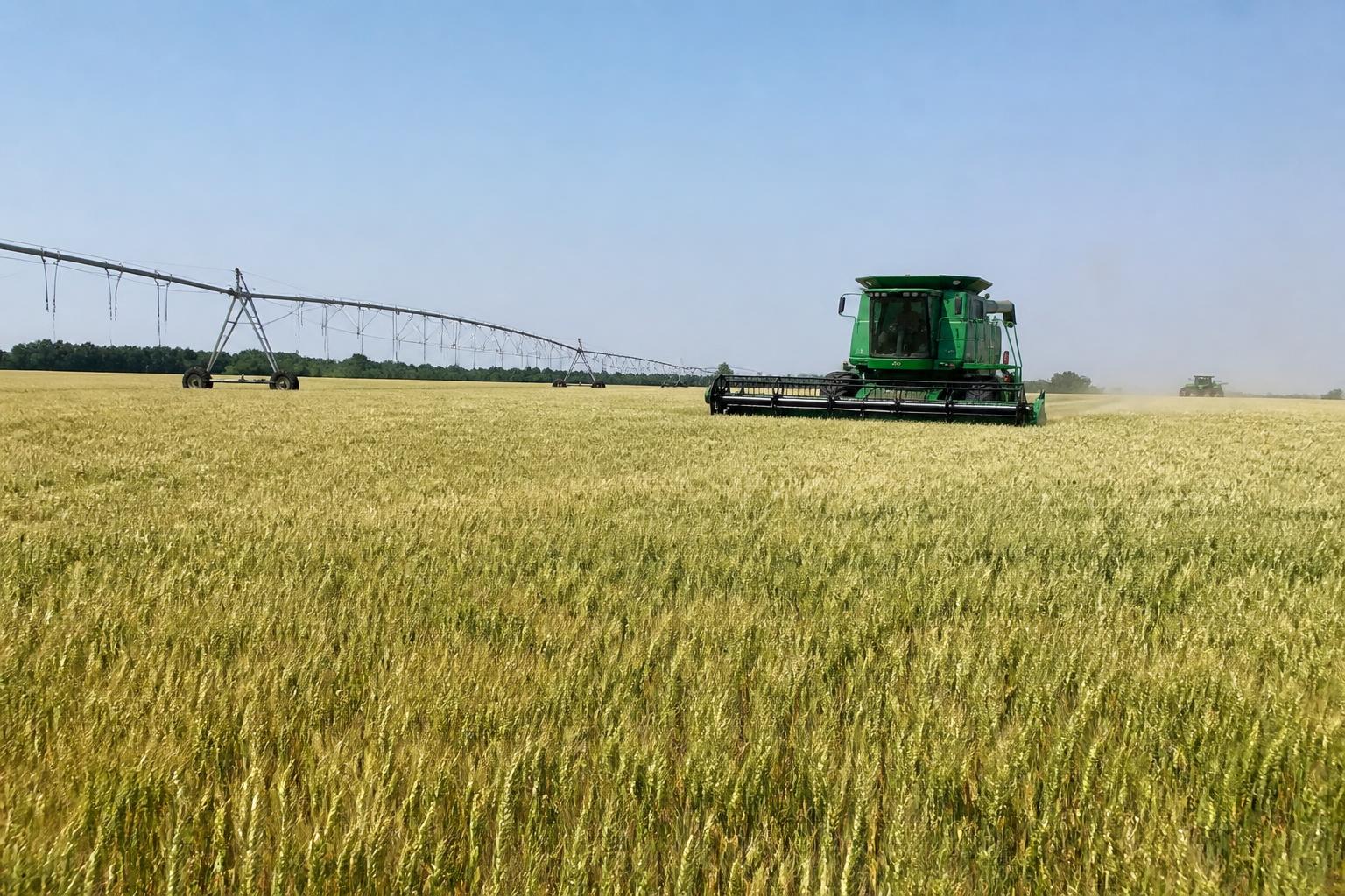Arkansas Mid-Summer Ag Update: Managing Irrigation Demands and Market Volatility - AgroPost
