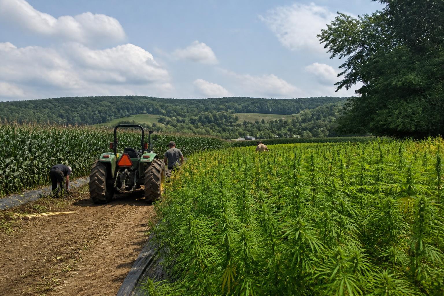 Vermont Farms Shift Toward Diversified Production and Regenerative Growth - AgroPost