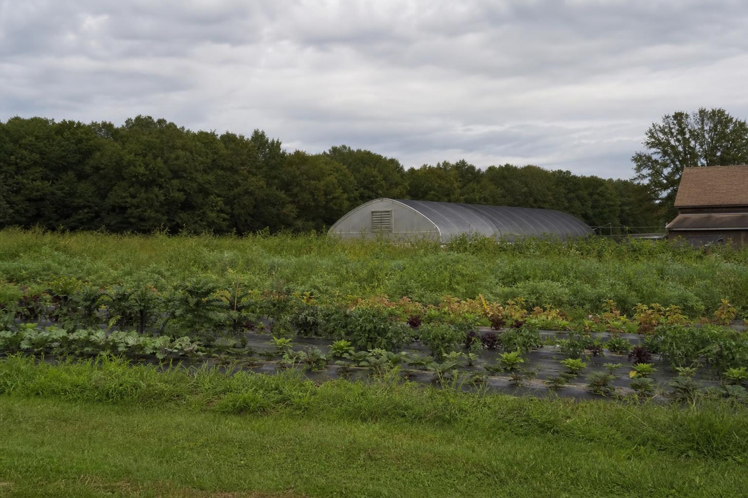 Rhode Island Agriculture: Navigating Challenges and Opportunities in 2023 - AgroPost
