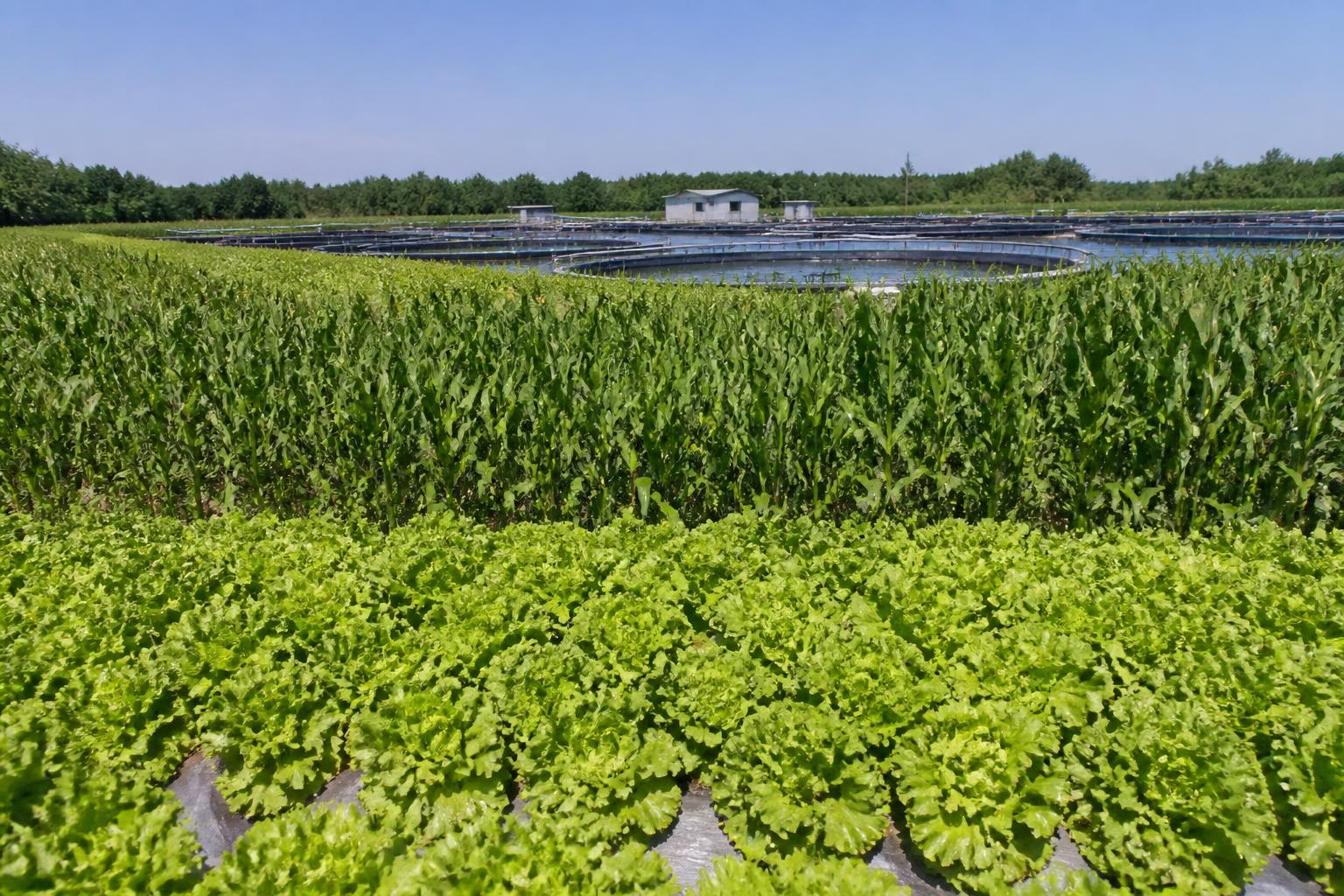 West Virginia Land Utilization: Examining New Frontiers for Crop Production - AgroPost