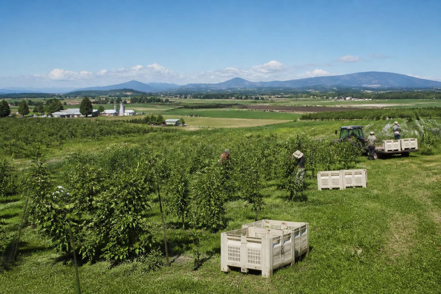 Oregon Land Use and Market Pressures: Assessing Mid-Season Challenges - AgroPost