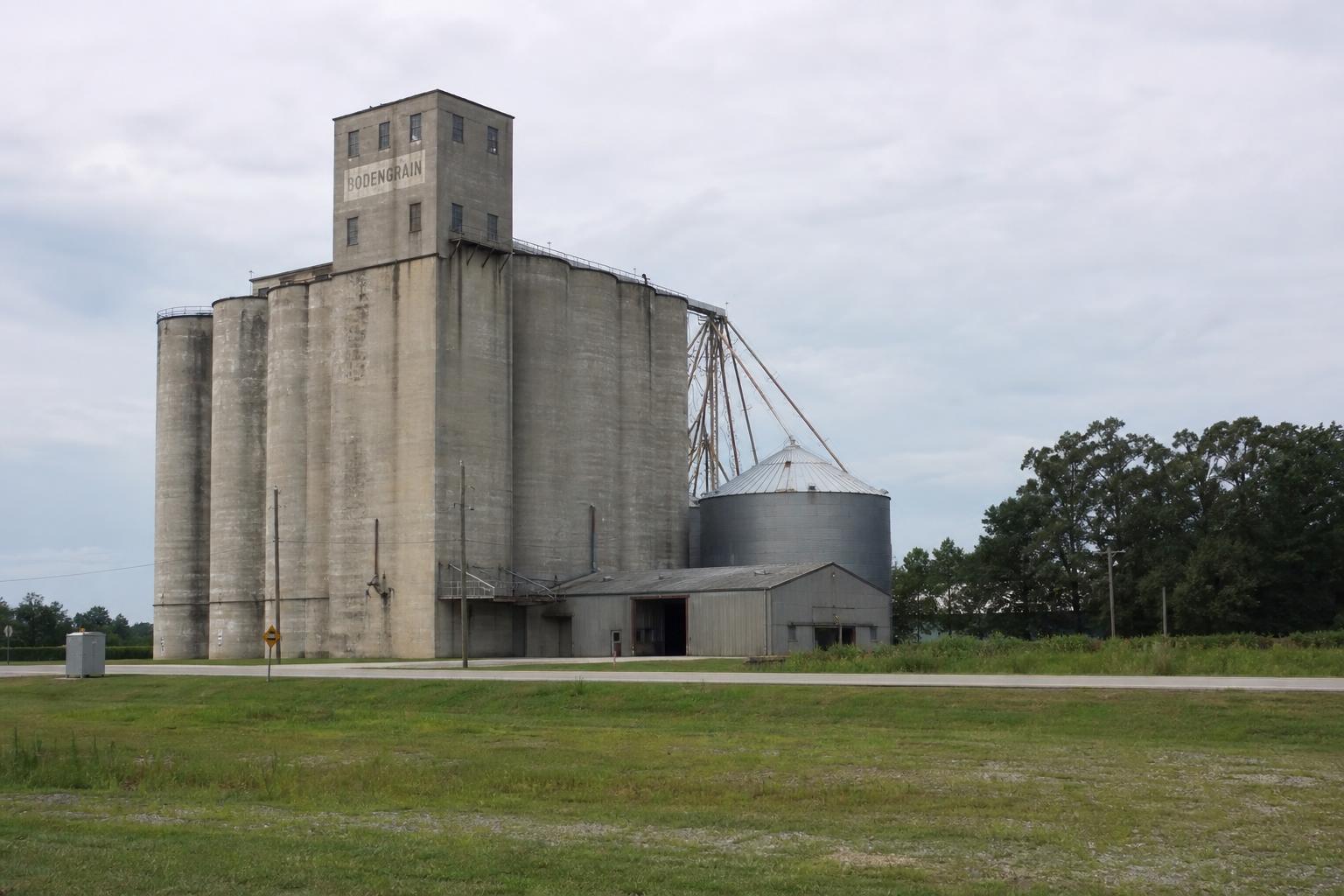 South Carolina's Grain Markets: Expansion and Strategic Opportunities - AgroPost