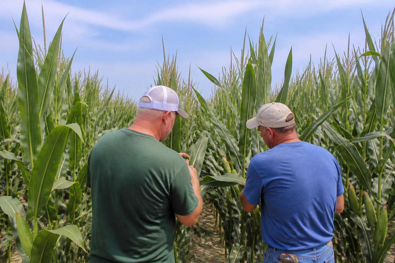 Summer Market Brief: South Dakota Grain and Input Outlook - AgroPost