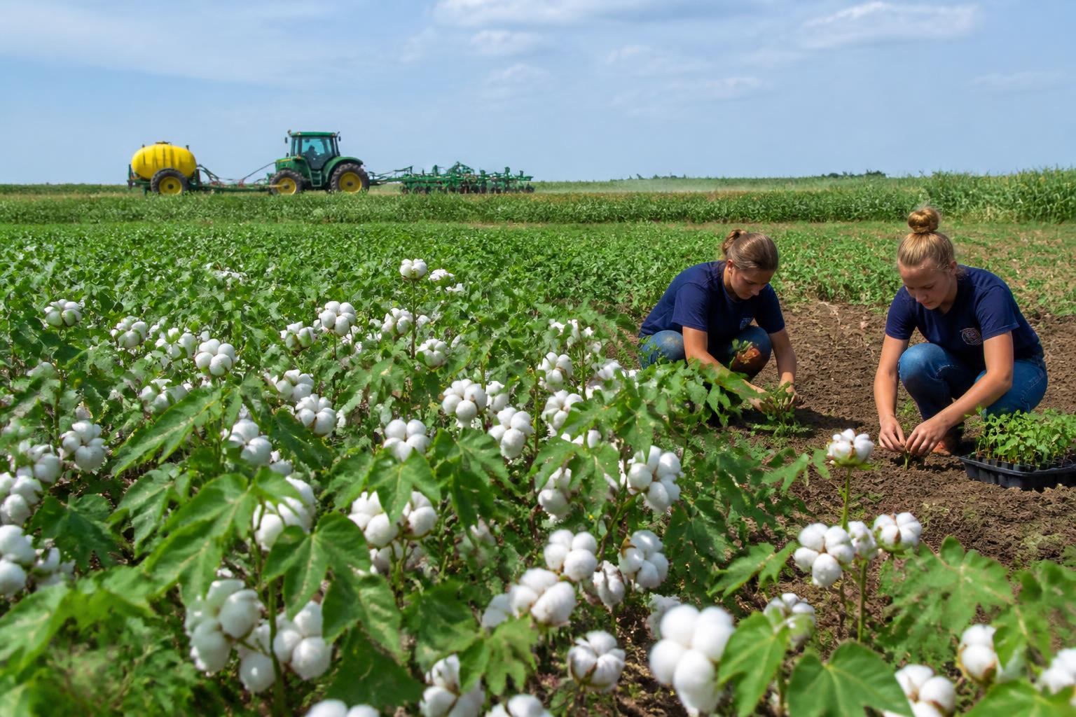 Managing Input Costs as Oklahoma Ag Producers Navigate Market Shifts - AgroPost