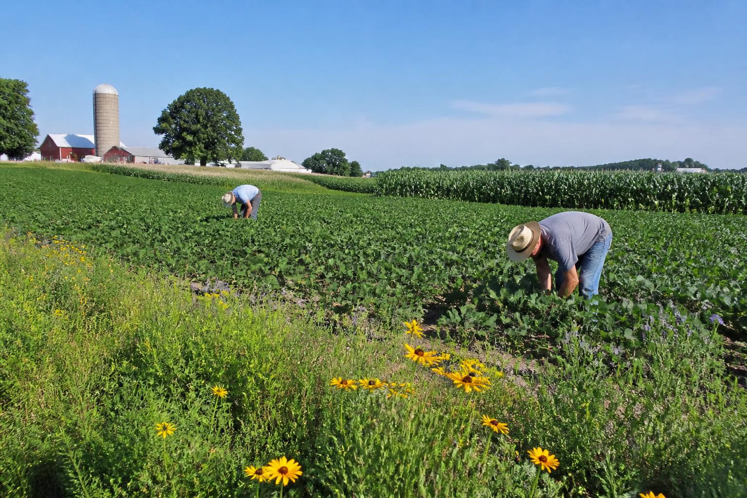 Navigating Crop Protection Demands During Alaska's Peak Summer Growth - AgroPost