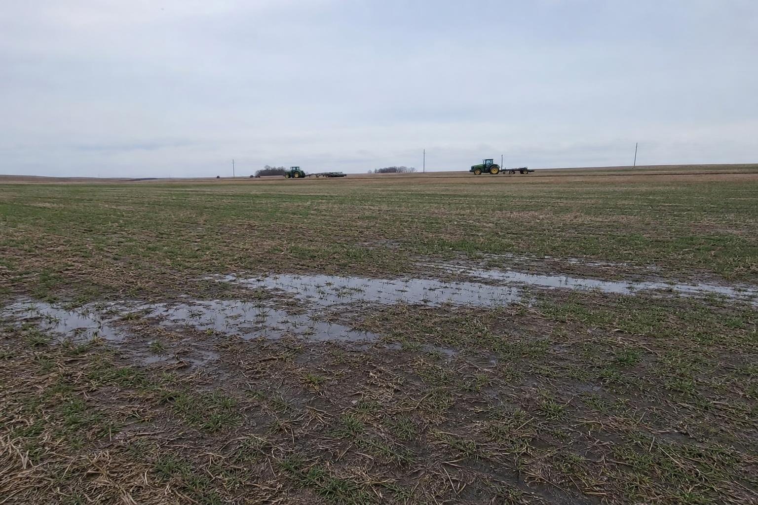 South Dakota's Wheat Market: Navigating Weather and Economic Challenges - AgroPost