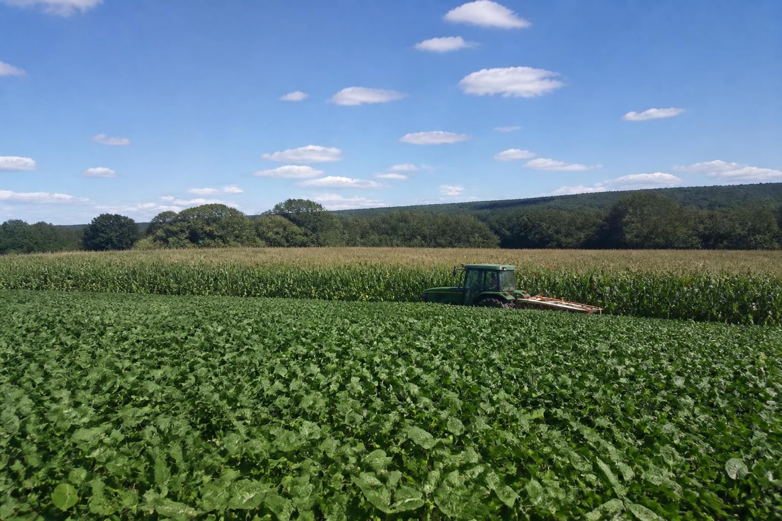 Connecticut Market Update: Fertilizer Volatility and Mid-Season Grain Trends - AgroPost