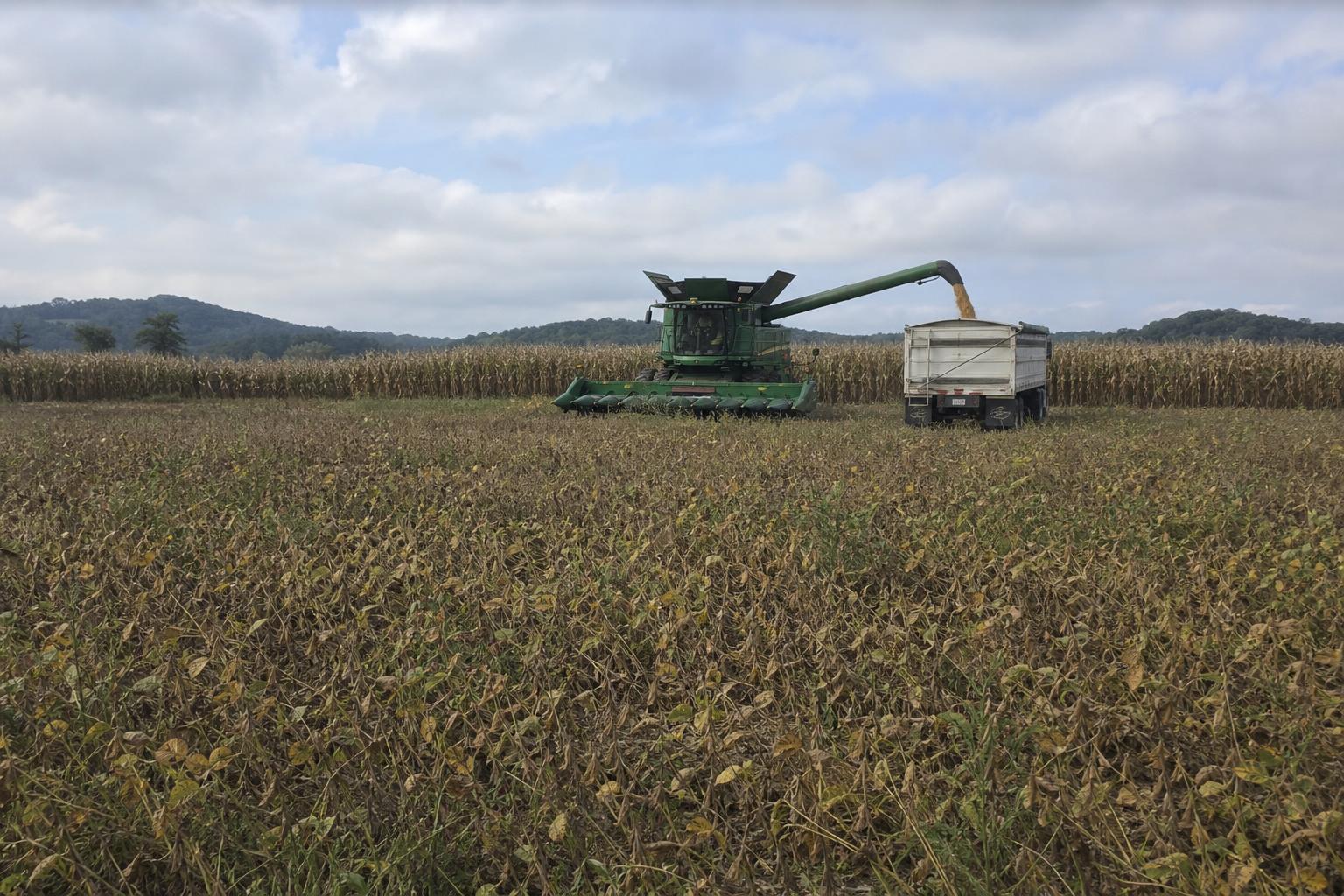Navigating Tennessee's Agricultural Market Amidst Global Shifts - AgroPost