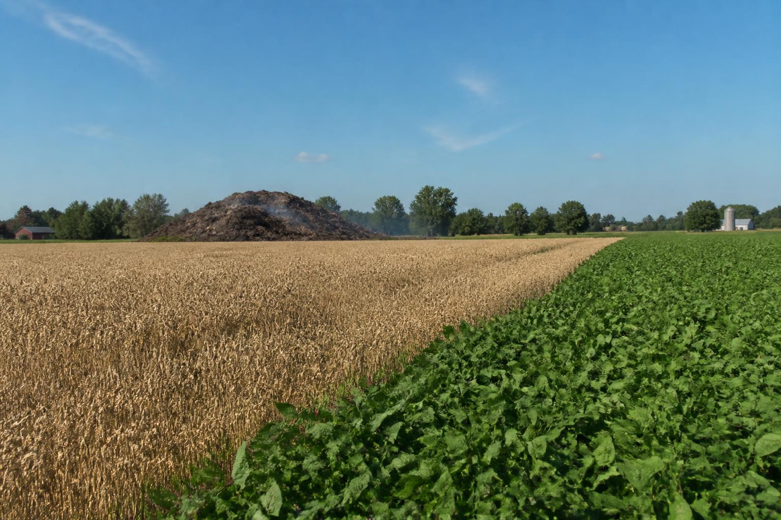 Michigan Field Protection: Monitoring Pathogen Risks During Peak Summer Heat - AgroPost