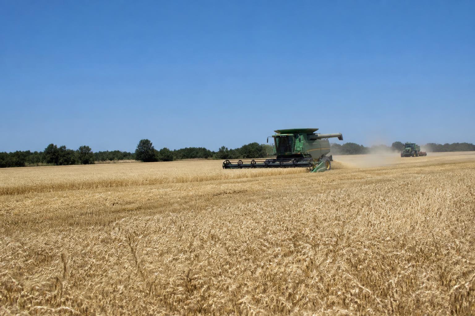 Kansas Field Report: Navigating Crop Protection Challenges Mid-Harvest - AgroPost