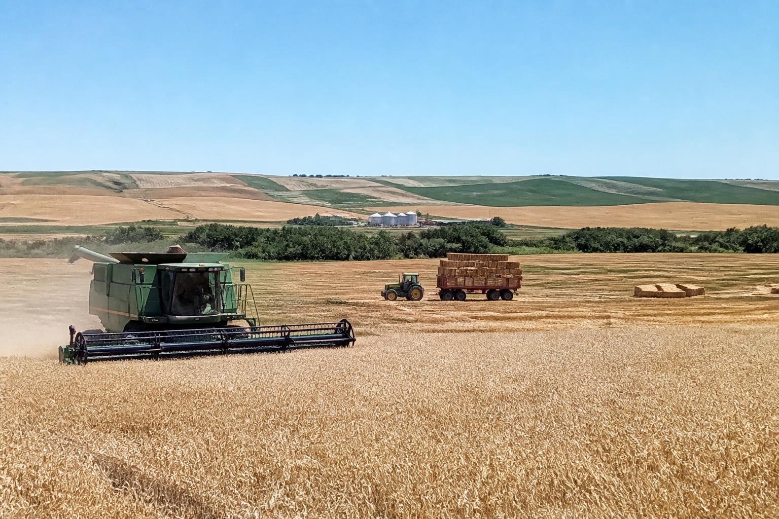South Dakota Hay Transport: Regulatory Flexibility During Mid-Summer Operations - AgroPost