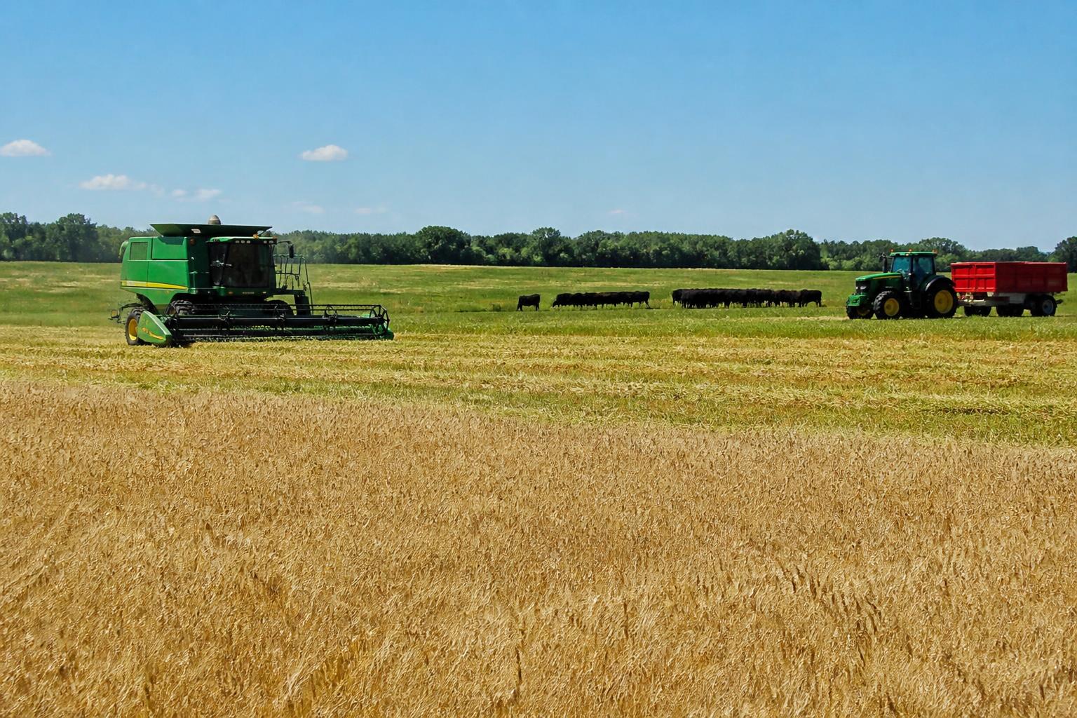 Oklahoma Producers Navigate Market Dynamics and Input Shifts - AgroPost