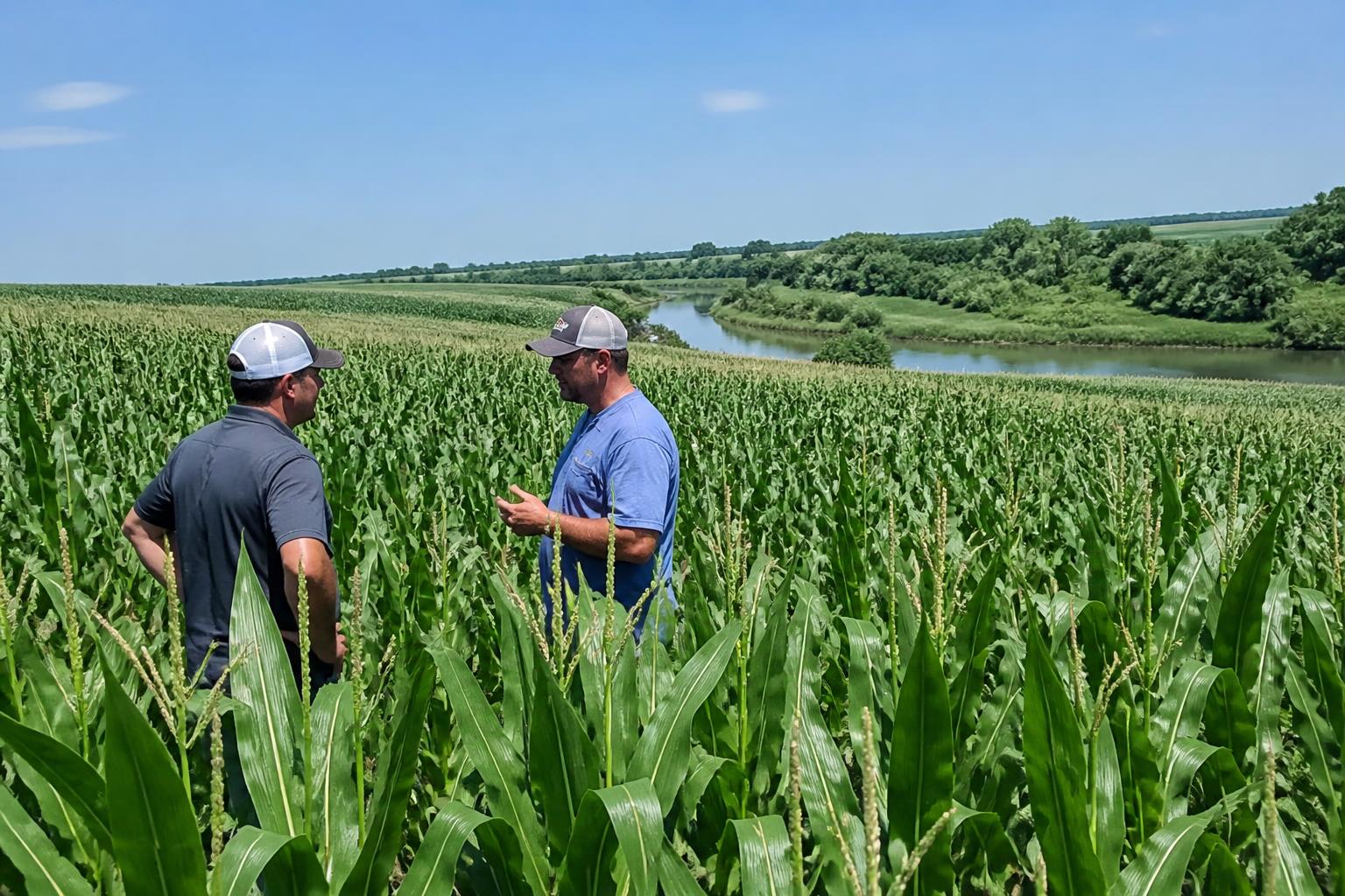 Minnesota Mid-Summer Market Outlook: Navigating Fertilizer Efficiency and Water Stewardship - AgroPost