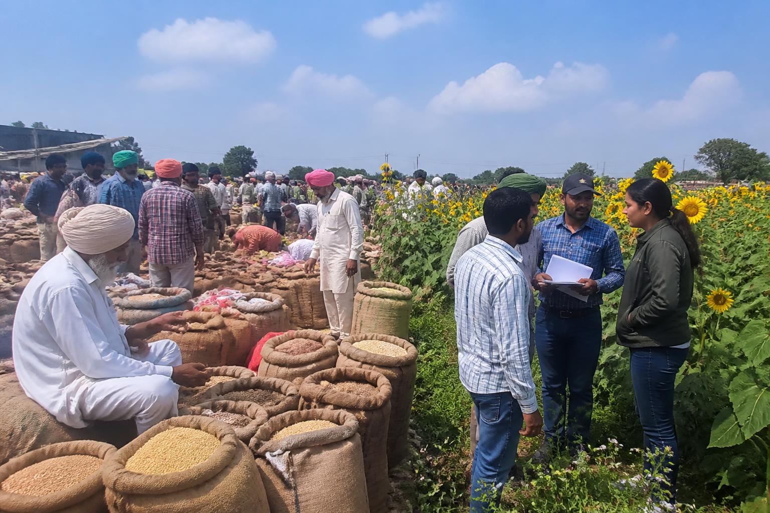 Pennsylvania Nutrient Outlook: Managing Summer Supply Chain Volatility - AgroPost