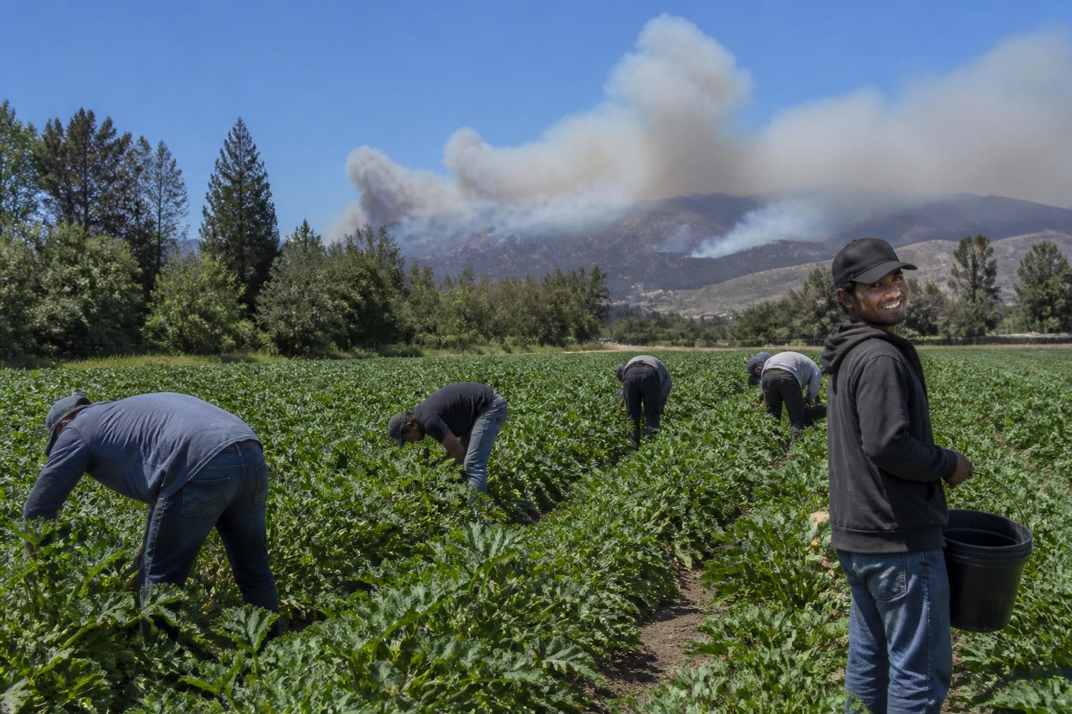 Utah Producers Navigate Market Volatility and Seasonal Heat Stress - AgroPost