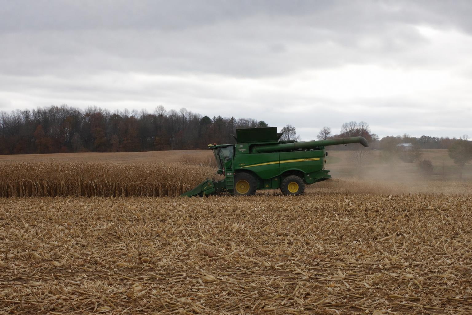 Virginia Agriculture: Embracing a Grain Renaissance Amid Record Yields - AgroPost