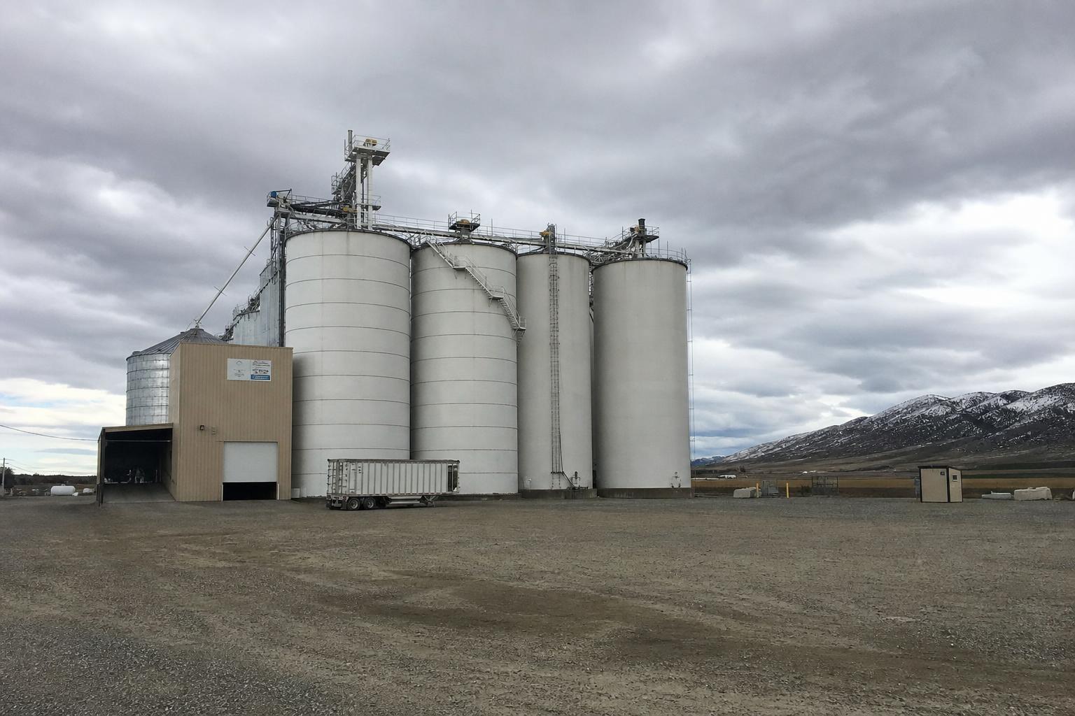 Washington Grain Market: Navigating Low Prices and Infrastructure Expansion - AgroPost