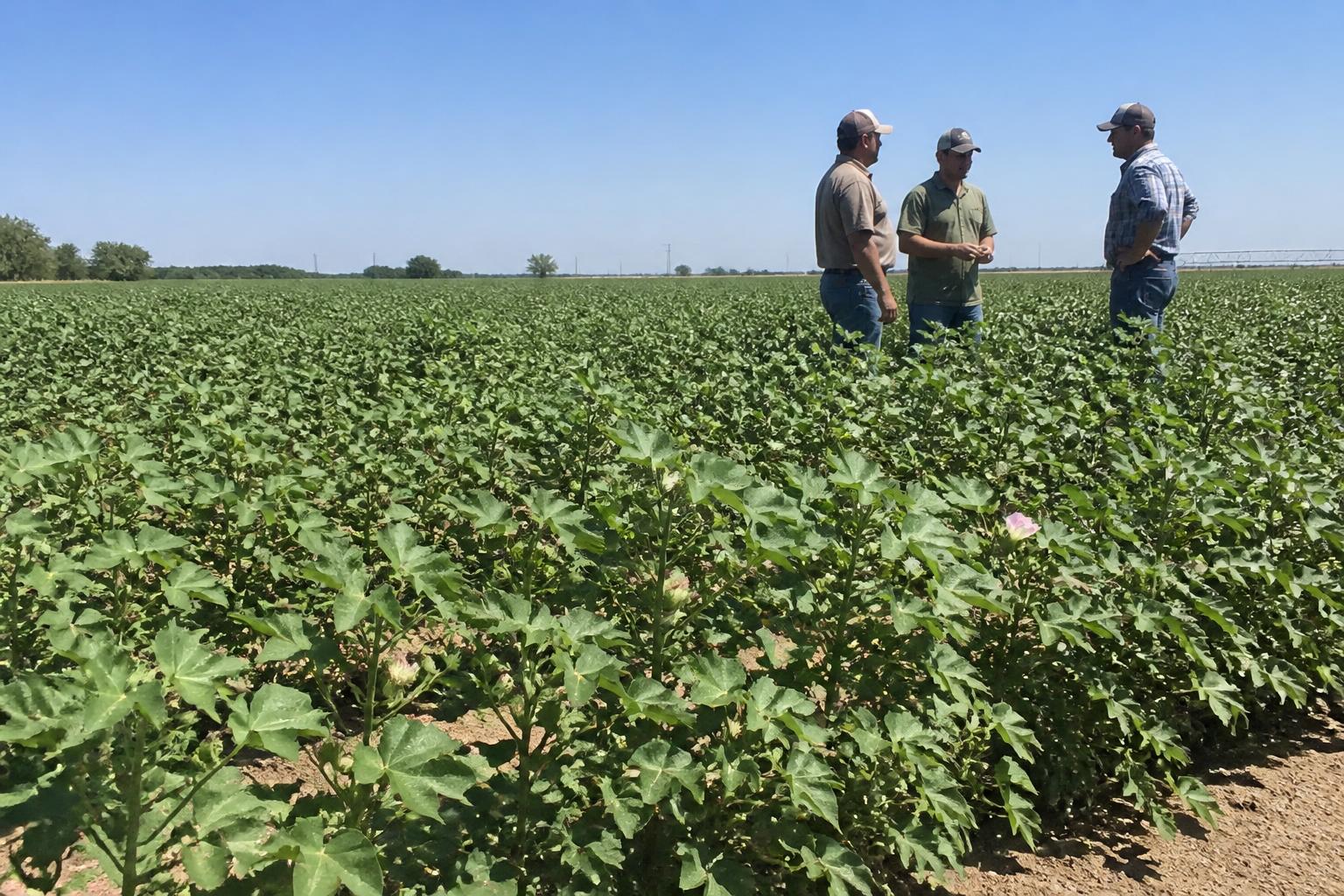 Texas Agricultural Outlook: Managing Operational Risks and Input Volatility - AgroPost
