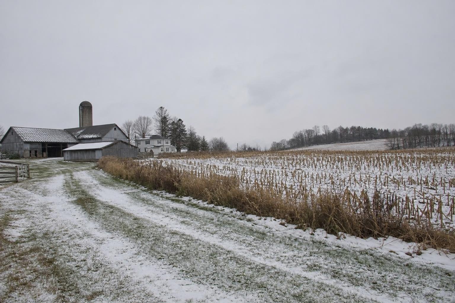 Agricultural Adaptations in West Virginia Amid Weather and Market Fluctuations - AgroPost