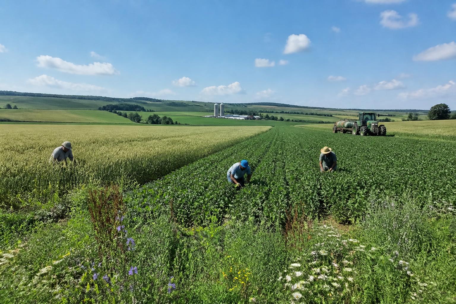 Maine Agriculture Faces Evolving Regulatory and Operational Challenges - AgroPost