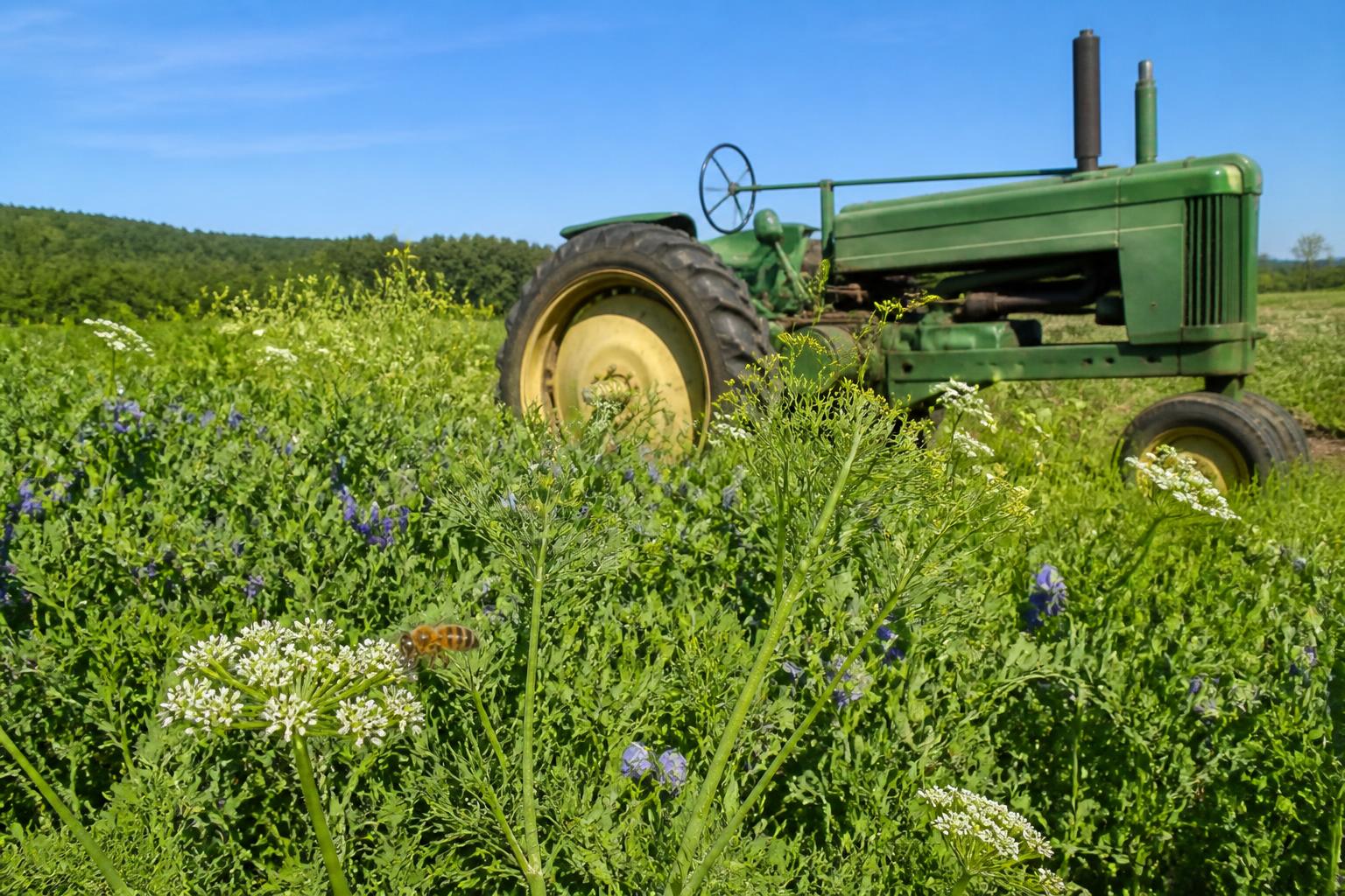 Scaling Sustainable Crop Protection in Massachusetts: Trends for Summer Field Management - AgroPost