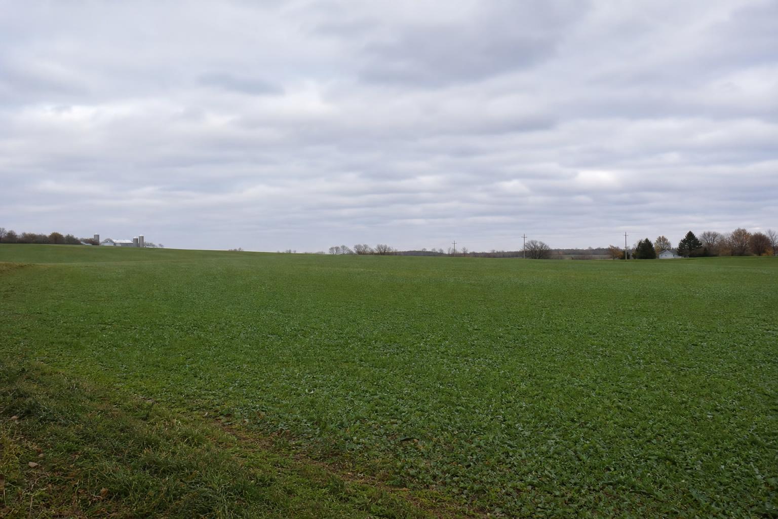 Navigating Wisconsin's Agricultural Market Amid Weather and Policy Challenges - AgroPost