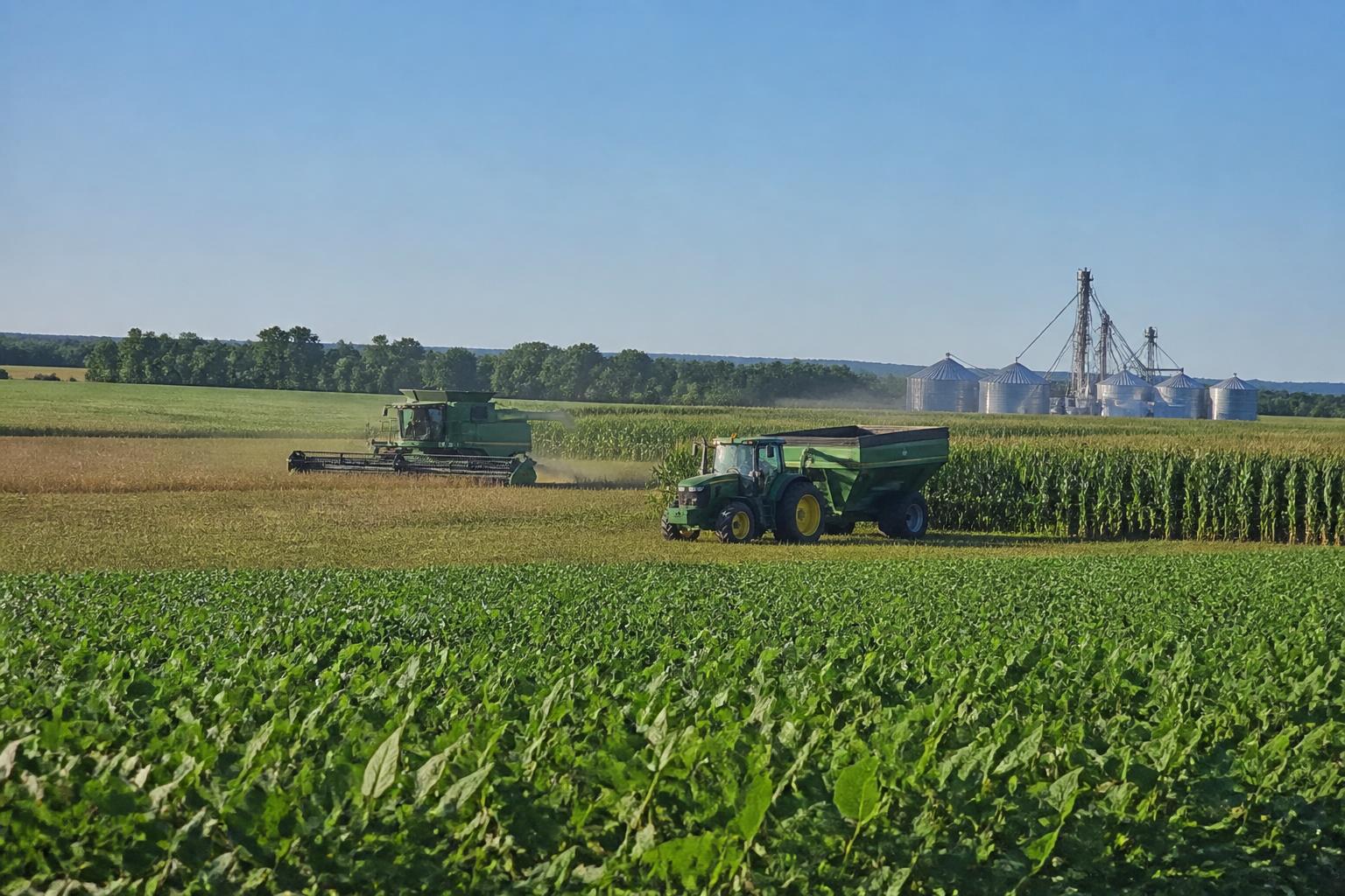 Arkansas Mid-Summer Logistics and Trade: Navigating Export Pipelines - AgroPost