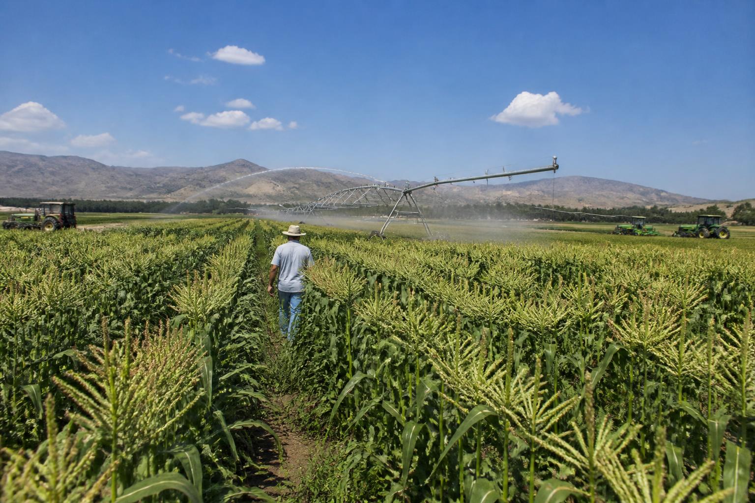 Utah Fertilizer Market Outlook: Managing Costs and Supply Volatility - AgroPost