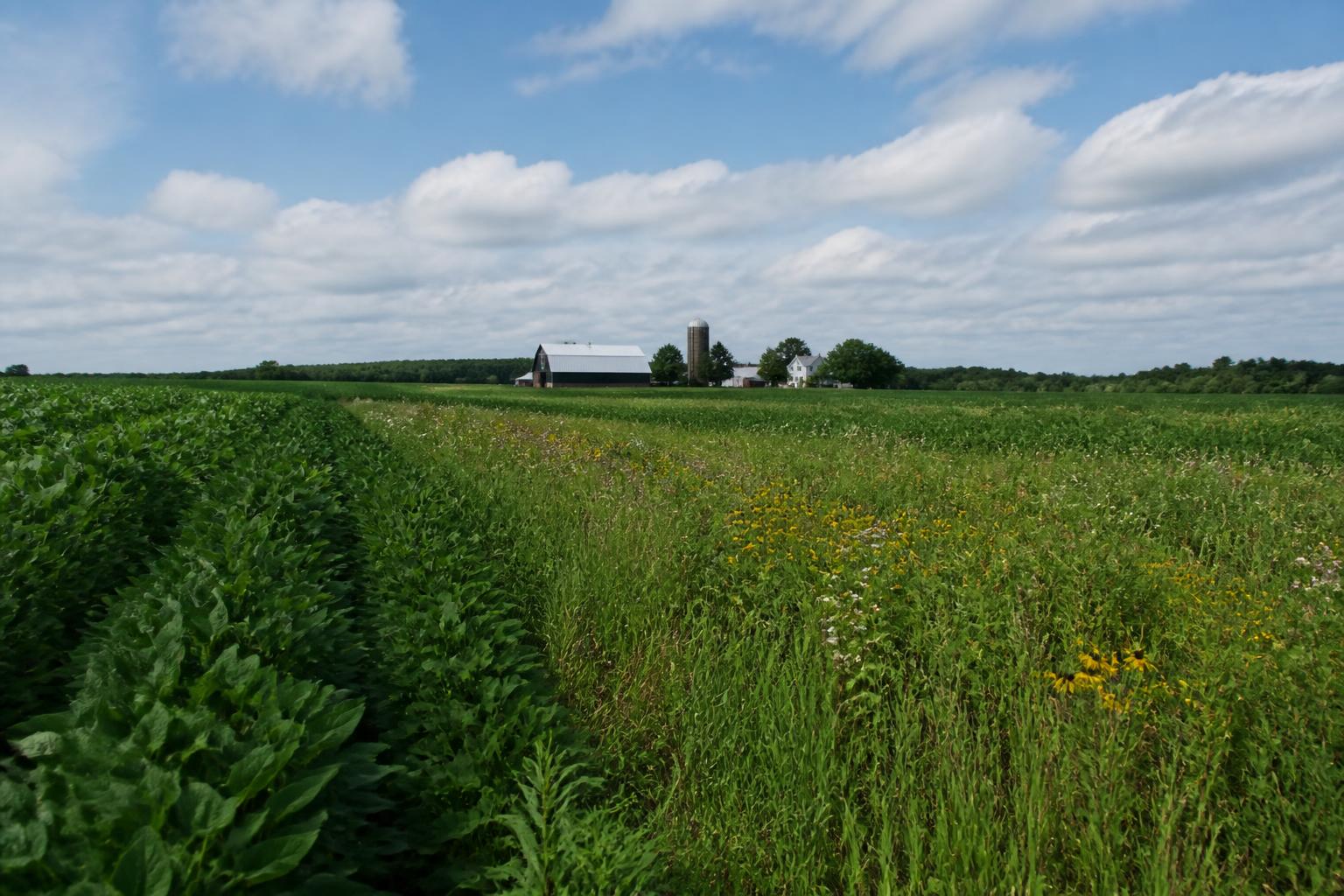 Wisconsin Producers Prioritize Soil and Water Management Amid Summer Pressures - AgroPost