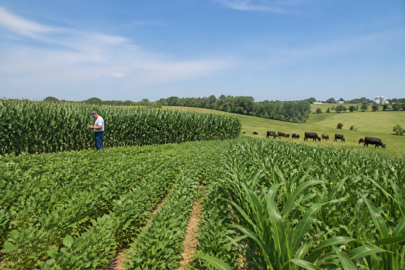 New Hampshire Growers Pivot Toward Crop Diversification Amid Shifting Climate Patterns - AgroPost